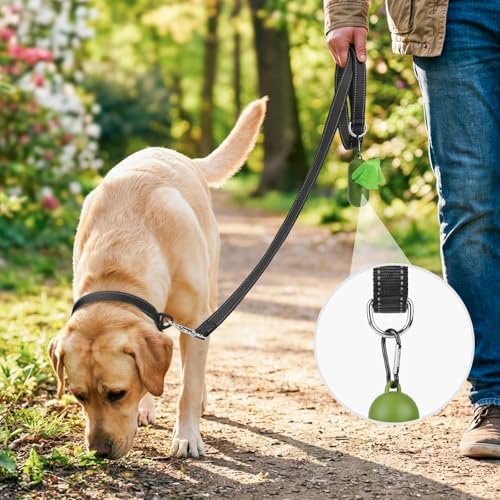 Joytale Reflective Dog Leash for Medium & Large Dogs, 6 FT x 1", Black