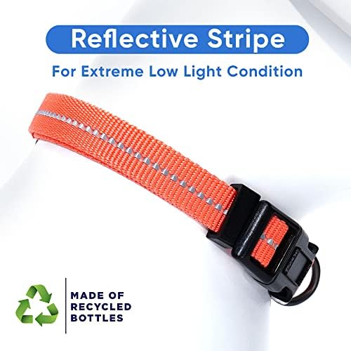 Pawtitas Recycled Dog Collar with Reflective Stitched Puppy Collar Made from Plastic Bottles Collected from Oceans Medium Living Coral