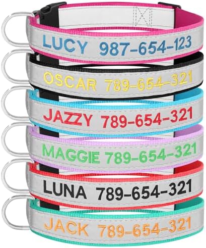 Personalized Reflective Dog Collar, Embroidered Name & Phone Number