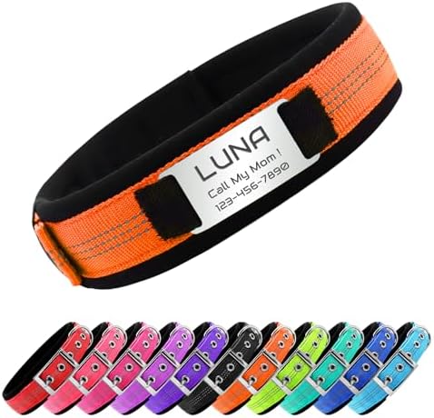 Reflective Personalized Dog Collar with Name Tag，Orange：S