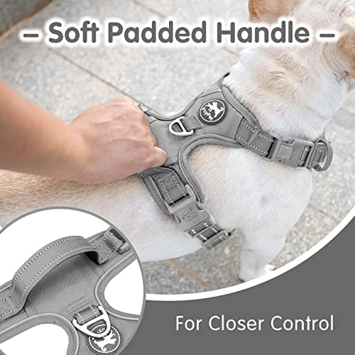 PoyPet Dog Harness and Leash Set, No Pull Vest with Front Clip and Handle