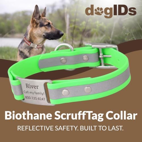 dogIDs Personalized Reflective Waterproof ScruffTag Dog Collar - Custom, Soft Grip, Safe Adjustable, Odor Resistant - Green, 1 in x 16 in (Fits Neck Sizes: 14-18 in)