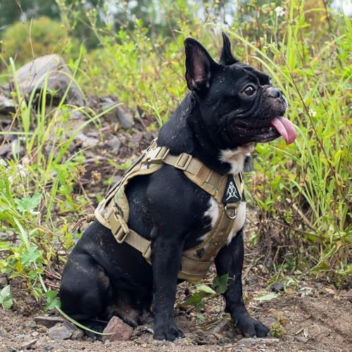OneTigris Tactical Dog Harness with Handle No-Pull Adjustable for Small Dog