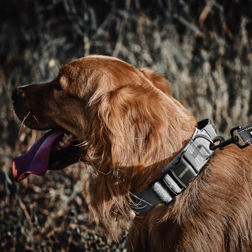OneTigris Heavy Duty Dog Collar for Medium Dogs with Traffic Handle Gray M