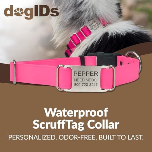 dogIDs Personalized Quick Release Waterprooft ScruffTag Dog Collar - Built-in Custom Laser Engraved Nameplate, Odor Resistant - Magenta, 5/8 in x 11-14 in (Fits Neck Sizes: 11-14 in)