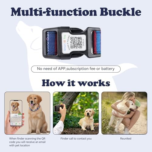 QR Code Dog Collar with ID Tag – Personalized Pet Identification Collar, Anti-Loss Quick Scan Tracking | Adjustable Nylon Strap Fits Small, Medium & Large Dogs (Black, M)