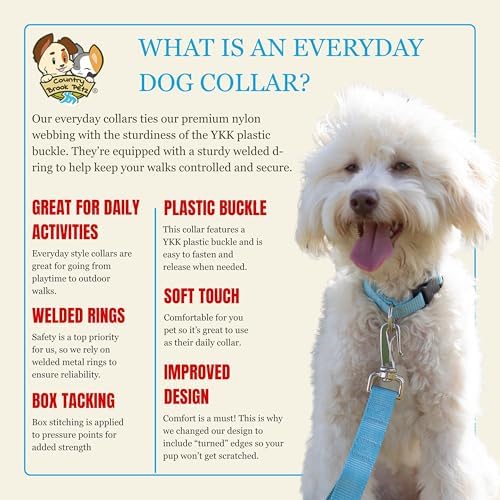 Country Brook Petz - Everyday Nylon Dog Collar for Large, Medium, and Small Dogs and Puppies - for Everyday Use in 30+ Colors (Small, 3/4 Inch Wide, Ocean Blue)