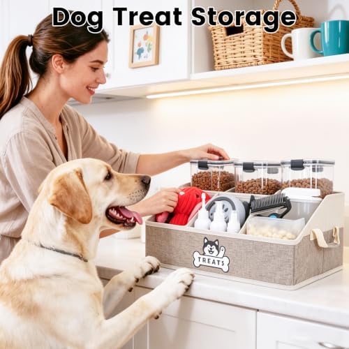 Dog Treat Storage Organizer for Countertop with Fabric Handle and Dividers