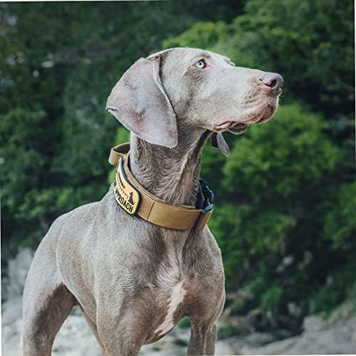 OneTigris Heavy Duty Dog Collar for Medium Dogs with Traffic Handle Brown M