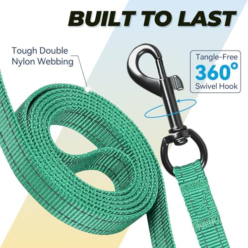 VIVAGLORY Double Handle Dog Leash Twingrip, 4ft x 1/2in, Turquoise