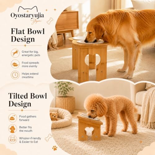 Bone Elevated 6.1" Ceramic Small Dog Bowls, Tilted Dog Bowl Stand