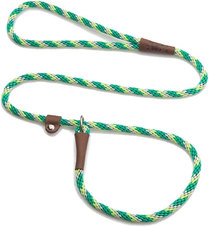 Mendota Pet Slip Leash - Dog Lead and Collar Combo - Made in The USA - Ivy, 3/8 in x 6 ft - for Small/Medium Breeds