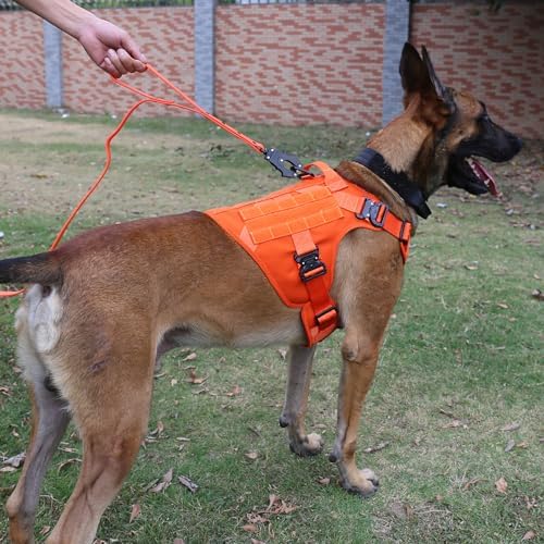 ICEFANG Tactical Dog Harness for Medium Dogs,Full Metal Buckles Dog Vest
