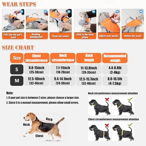 BAMY 2 in 1 Cat Shoulder Carrier, Outdoor Small Dog Harness and Leash, Cats Sling Carrier Bag, Breathable Pet Travel Carriers (M (Chest circuitference 12.5"-18"))