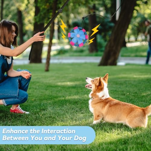 Flirt Pole for Dogs, Interactive Toys Tug-of-war for Dogs, Five-Section Retractable Adjustable Length, Chase Toys with Rope Chewing Sticks, for Outdoor Exercise & Training