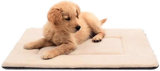 Small Dog Bed 22x13, Washable Flat Pet Bed, Reversible Dog Crate Pad | Double Sided Dog Mat, Dog Beds for Small Dogs, Machine Washable Flat Dog Bed, Puppy Bed