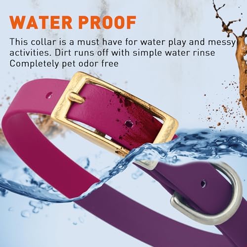 Viper Biothane Heavy Duty Waterproof Dog Collar Strong Coated Nylon Webbing w/Solid Brass Hardware Odor-Proof Easy to Clean High Performance Fits Small Medium or Large Dogs, Magenta Pink