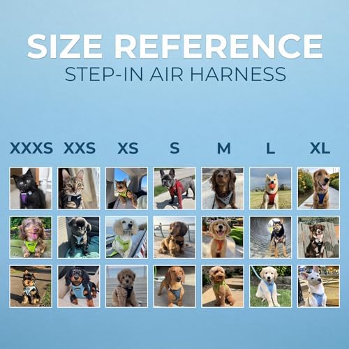 Best Pet Supplies Voyager Step-in Air All Weather Mesh Harness and Reflective Dog 5ft Leash Combo with Neoprene Handle, for Small, Medium and Large Breed Puppies - Baby Blue, XX-Small