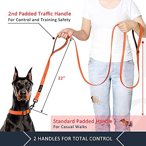 Plutus Pet Double Handle Dog Leash, 4 FT Long, for Medium Large Dogs