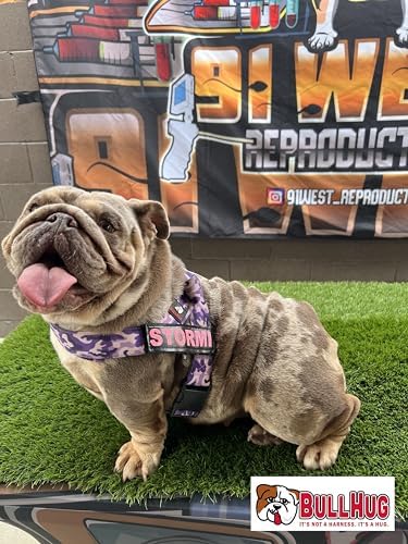 BULLHUG 6 FT Bulldog Leash with Padded Handle. Perfect for Bulldogs, French Bulldogs, Pugs & All Breeds. Leashes for Walking, Training Lead for Bulldogs (Taco)