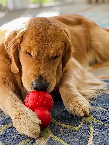 Nylabone Strong Chew Rubber Stuffable Cone Treat Toy, Bacon Flavor, Large