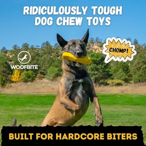 Indestructible Stick Dog Toy - Lifetime Replacement - Durable Chew Toy for Aggressive Chewers - Safe Non-Toxic Natural Rubber - Chew Tug & Fetch - Tough, Heavy Duty - Med/Large Breed, 8”x2”