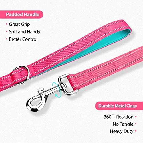 PHOEPET 5 Feet Dog Leash with Comfortable Padded Handle Easy Snap Clasp