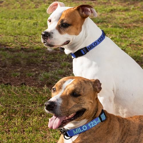 Pawtitas Personalized Dog Collar Small Dog Collar Embroider with Name Phone Number Puppy Collar Adjustable Customized Collar for Small Dogs Breeds Puppy Blue Dog Collar