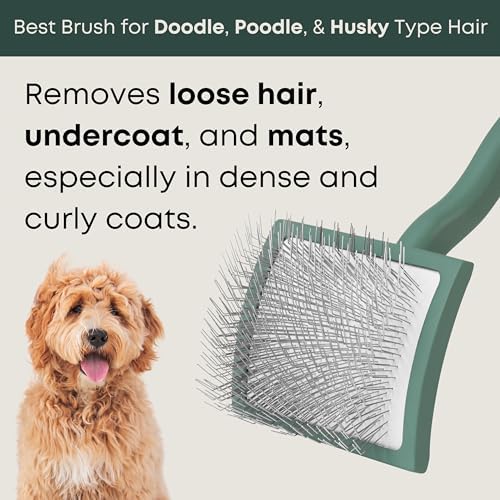 Doodle Slicker Brush - Dog Brush for Curly & Wavy Coats