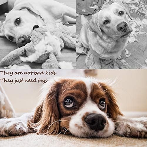 PLAYJOY Small Dog Toys/Puppy Chew,10 Pack Interactive Dog Toys for Boredom, Cute for Small/Medium Dogs, Squeaky Plush Dog Rope Toys