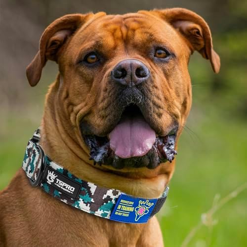 TSPRO Tactical Dog Collar, Heavy Duty Quick Release Metal Buckle and Patch