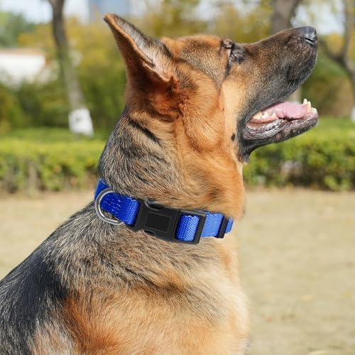 Dog Collar Adjustable Puppy Collar for Small Medium Large Dogs, Nylon Safety Collars with Leopard Print Night Visibility, Blue S