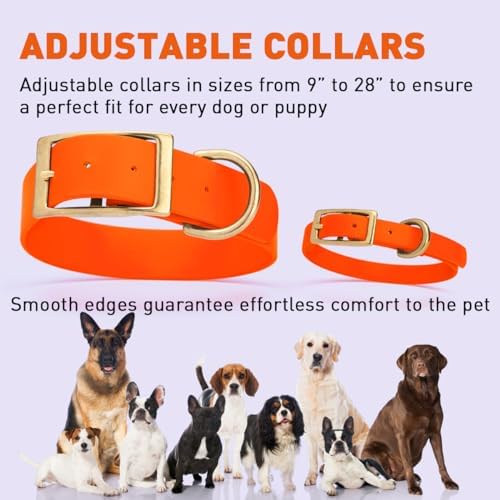 Viper Biothane Heavy Duty Waterproof Dog Collar Strong Coated Nylon Webbing w/Solid Brass Hardware Odor-Proof Easy to Clean High Performance Fits Small Medium or Large Dogs, Hunter Orange