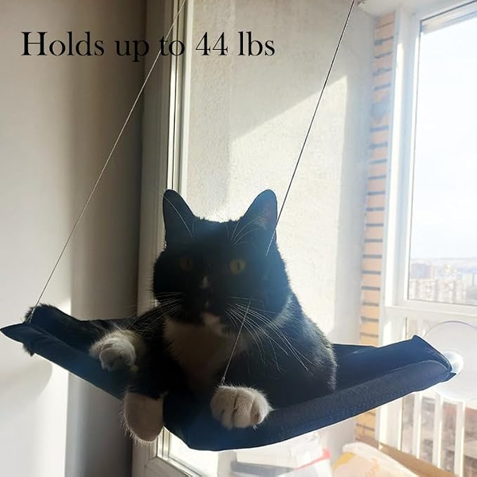 Black Cat Hammock for Window Cat Window Bed for Indoor Cats | Cat Window Perch Suction Cups Cat Window Hammock Space Saving Window Seat for Cats Inside