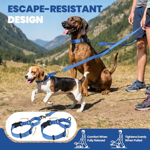 VIVAGLORY Double Handle Dog Leash Twingrip, 5ft x 1in, M2, Navy