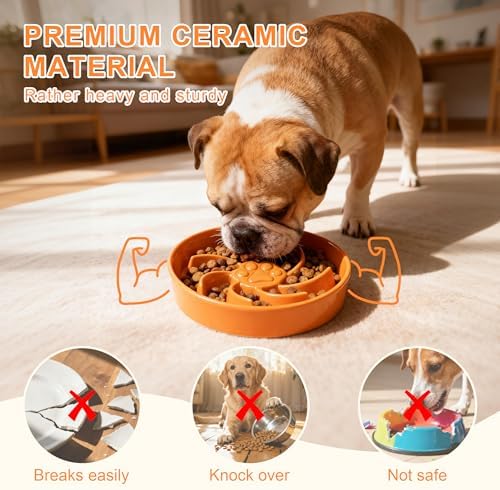 Ceramic Slow Feeder Dog Bowl, 3 Cup Dog Food or 25oz Water, Slow Eating Bowl for Middle Breed, Maze Puzzle Feeder for Fast Eaters, Anti-Choking Stop Bloat, Non-Slip BPA Free (Orange)