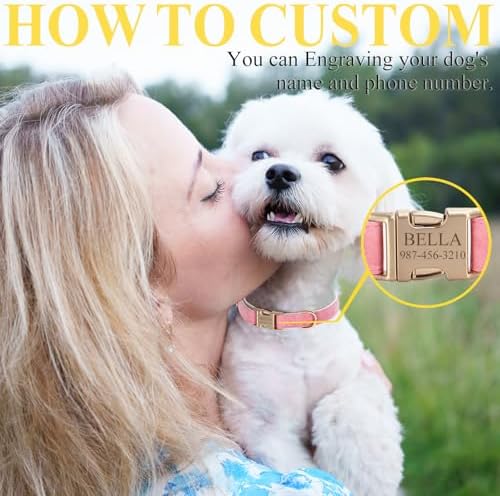 Personalized Dog Collar with Engraved Pet Name & Phone Number