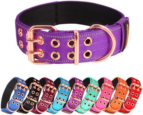 Heavy Duty Dog Collar for Medium Large Dogs,Purple,Large