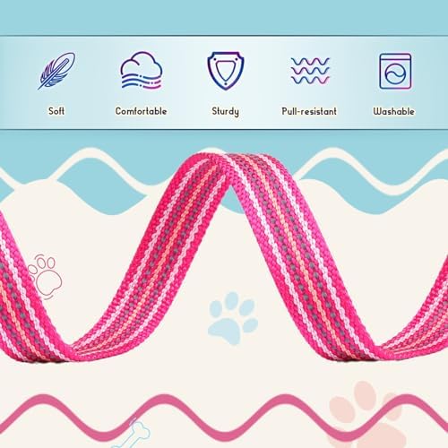 Reflective Dog Collar and Leash Set, Nylon Dog Leash with Heavy-Duty Steel D-Ring, Adjustable with Quick Release Buckle for Small Dogs,Hot Pink S