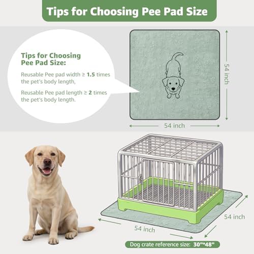 LOOBANI 2 Pack Extra Large Reusable Pee Pads for Dogs, Whelping, 54"x54"
