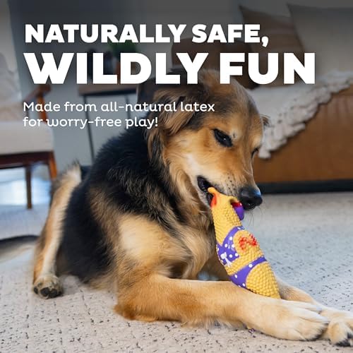 Outward Hound by Charming Pet Squawkers Henrietta Latex Squeaky Rubber Chicken Dog Toy, Funny Interactive Holiday Toy for Dogs, Large Size (Pack of 2)