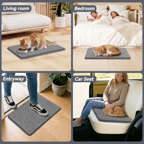 Bcoimo Super Absorbent Chenille Door Mat, Non-Slip Quick Dry Entryway Rug