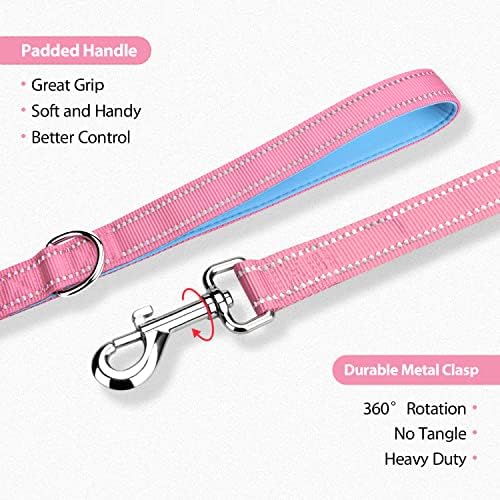 PHOEPET 5 Feet Dog Leash - Dual-Side Reflective - Soft Padded Handle