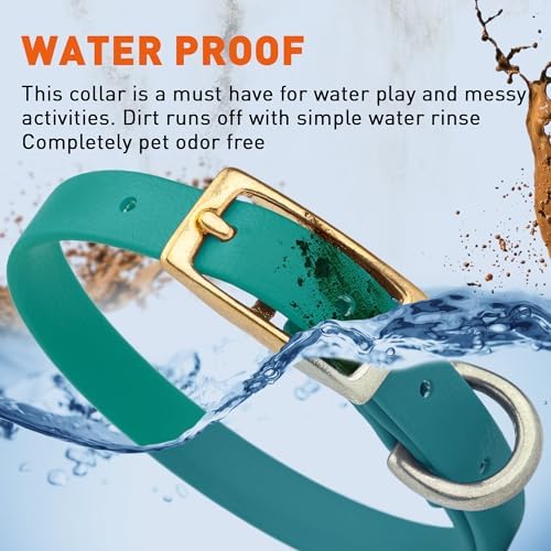 Viper Biothane Heavy Duty Waterproof Dog Collar Strong Coated Nylon Webbing w/Solid Brass Hardware Odor-Proof Easy to Clean High Performance Fits Small Medium or Large Dogs, Blue Aqua