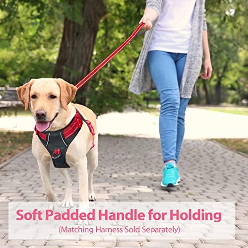 PHOEPET 5 Feet Dog Leash - Dual-Side Reflective - Soft Padded Handle