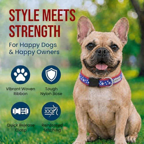 THE WORTHY DOG Summer Print, Adjustable Dog Collar,Medium Dogs, Stars