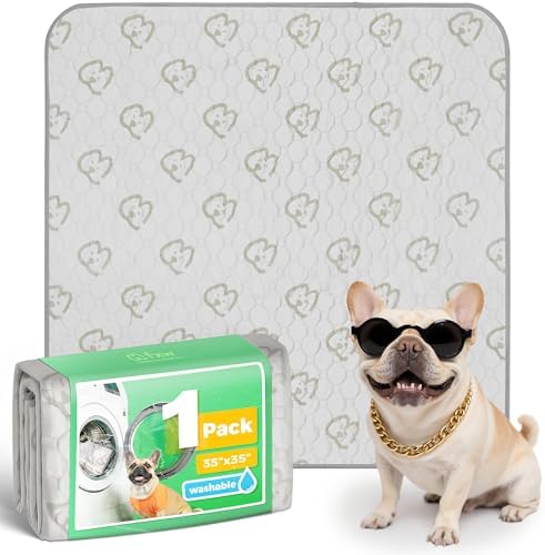 FXW Washable Pee Pads for Dogs, Super Absorbent, 35" Square, 1 Pack