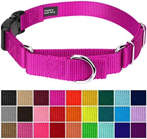 Martingale Dog Collar - Heavy Duty Nylon Adjustable Martingale Dog Collar with Plastic Buckle for Small Medium Large Breeds - 30+ Colors (1 Inch, Medium, Fuchsia)