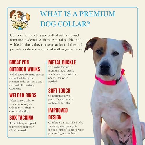 Country Brook Petz - Premium Nylon Dog Collar with Metal Buckle for Small Medium Large Breeds - 30+ Colors (Extra Large, 1 Inch, Hot Pink)