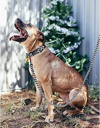 Roses&Poetry Dog Collar and Leash for Extra Small,Adjustable Durable 5ft Puppy Leash Collar for Dog Training Lead（Black & White-XS）